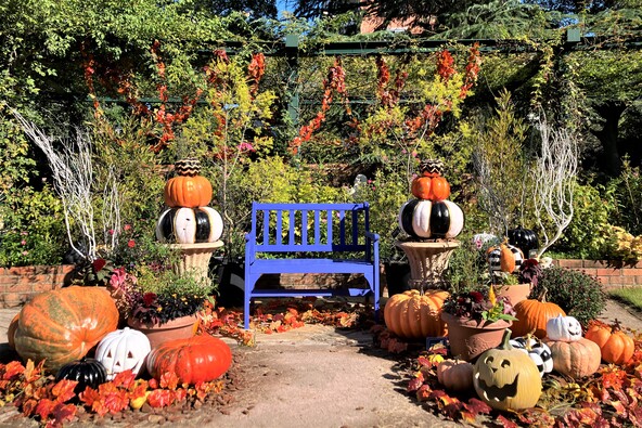ハロウィン仕様のフォトスポットが登場!(写真は過去の様子)