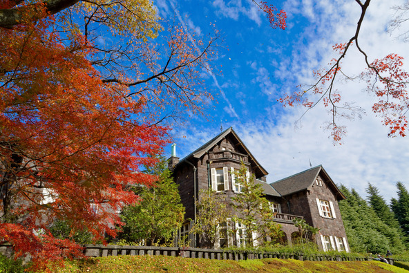 紅葉とバラの見頃が重なる時期を狙っておでかけするのもおすすめ(画像提供:ジャバ / PIXTA)
