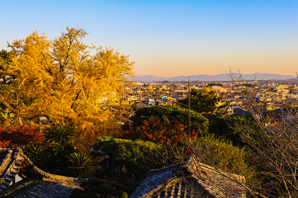 画像:福留 太郎 / PIXTA(ピクスタ)