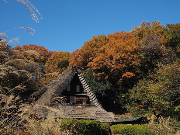 秋の「川崎市立日本民家園」