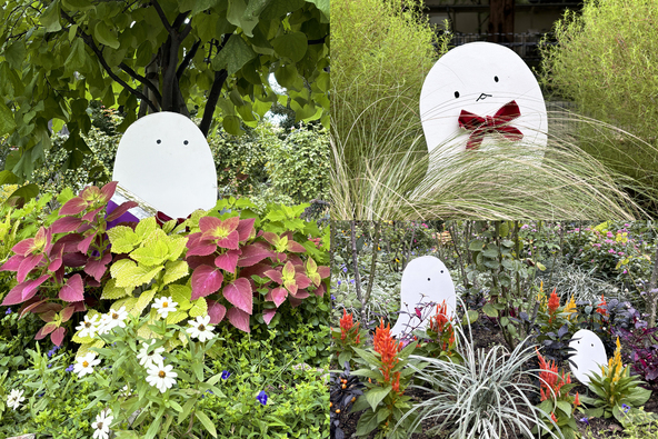 「KIDS DAY」の「おばけをさがそう」イメージ