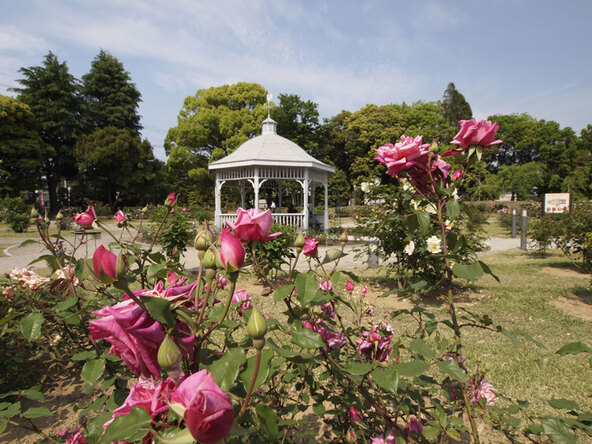 バラの観賞とあわせて、さまざまな催しを満喫♪(画像提供:観光ぐんま写真館 https://gunma-kanko.jp/)