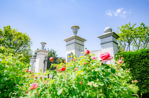 家族みんなでゆったりと過ごせるバラ園