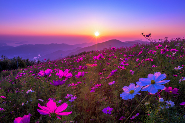 幻想的な夕暮れ時(画像提供:ラブ / PIXTA)