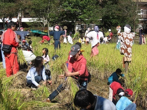 例年10月の稲刈り体験の様子