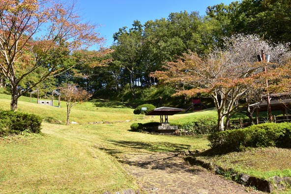 紅葉と十月桜のグラデーションが美しい「県立七沢森林公園」(画像提供:jooko3 / PIXTA)