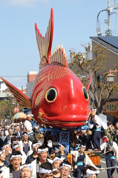 あでやかな朱塗りの五番曳山「鯛」は、なかでも人気が高い曳山です