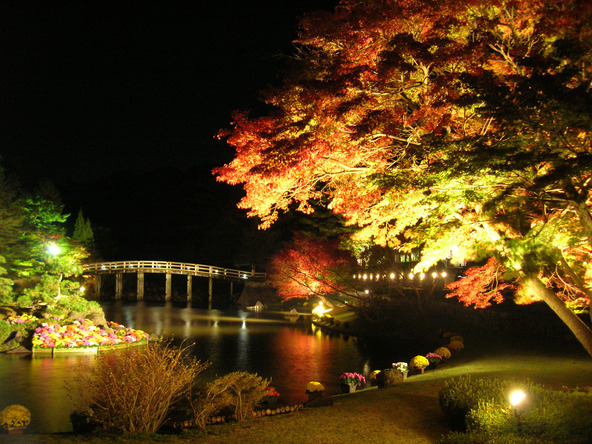 紅葉のライトアップ(画像提供:伊豆市産業振興協議会)