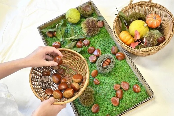 「食欲」「芸術」「収穫」といった秋の魅力を五感で堪能♪
