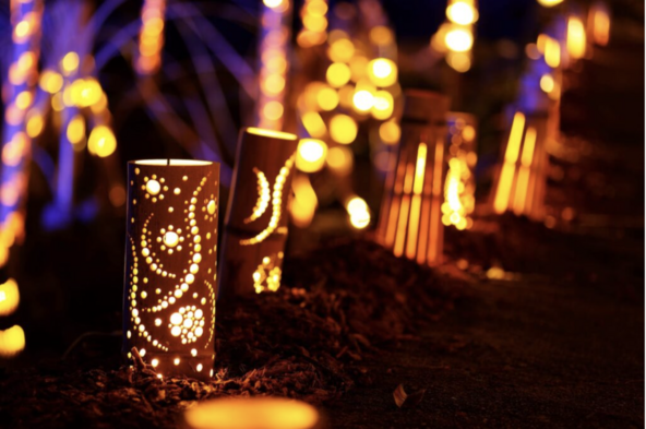 赤目四十八滝の夜を優しく照らす「滝あかり」