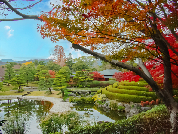 静岡市の中心にあるオアシスのような庭園