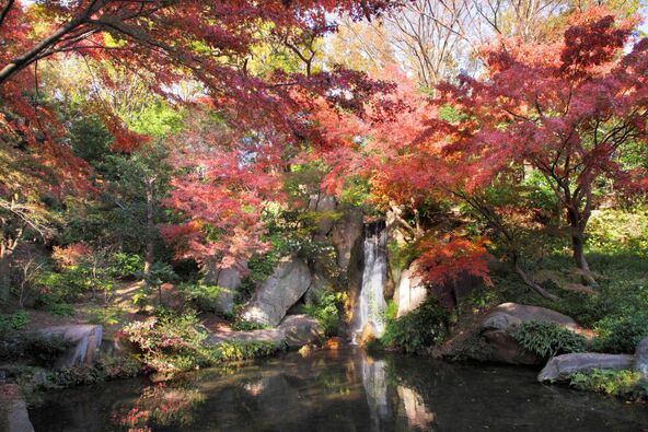 滝の音と紅葉に癒されます(画像提供:浜松・浜名湖ツーリズムビューロー)