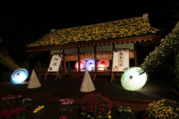 過去開催時の夜菊の様子(画像提供:三島市)