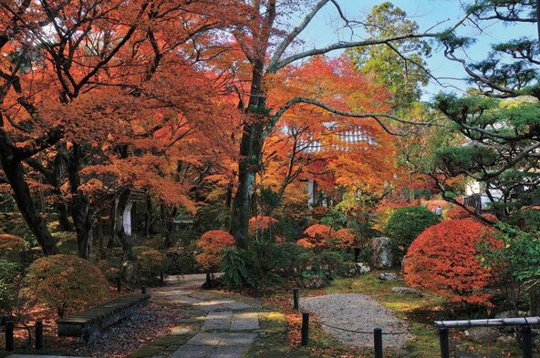紅葉シーズンの「龍潭寺」(画像提供:浜松・浜名湖ツーリズムビューロー)