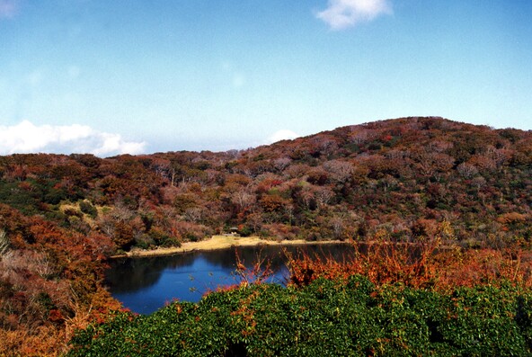 八丁池(画像提供:伊豆市産業振興協議会)