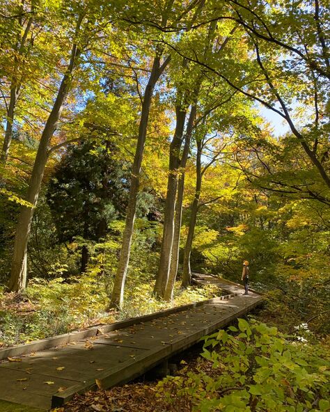 歩きやすい散歩道(画像提供:信州いいやま観光局)