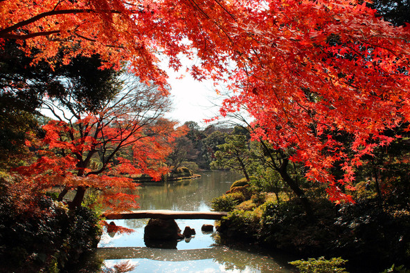 「渡月橋」(画像提供:SUYA / PIXTA)