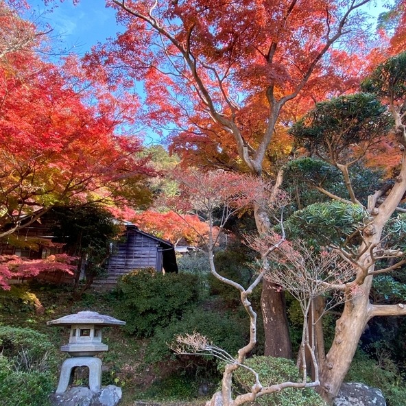 (画像提供:逗子市・逗子フォトより)