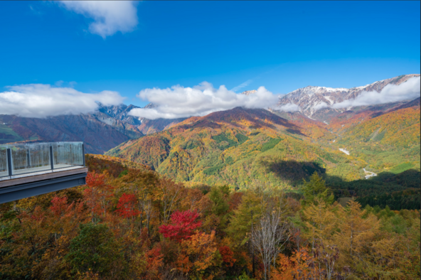 開放感抜群の絶景!