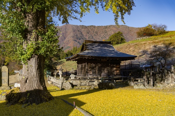写真におさめたくなる、美しくのどかな風景(画像提供:大鹿村)