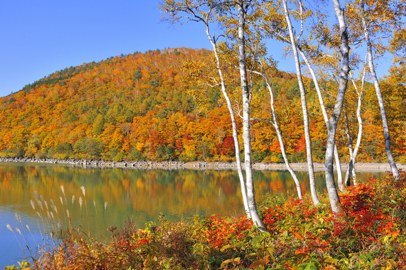 紅葉シーズンの琵琶池(画像提供:風写 / PIXTA)