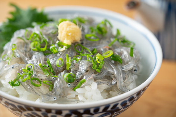 相模湾で獲れる新鮮なしらすを使ったしらす丼は湘南の名物(画像提供:shige hattori / PIXTA)※イメージ画像