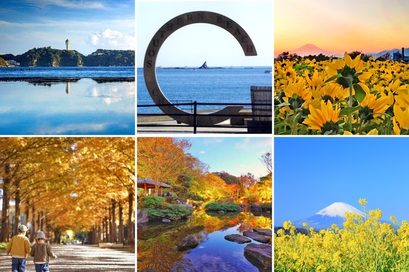 海や里山の自然に恵まれた湘南エリアでは、秋~冬ならではの美しい景色と出会えます