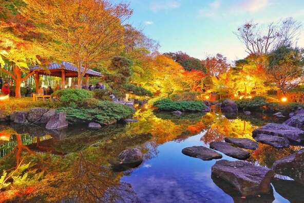 不動池に映える紅葉が幻想的な「県立大磯城山公園」