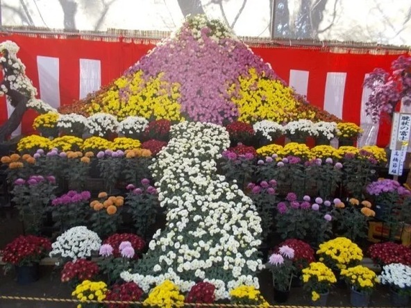 下妻の秋の風物詩として知られています