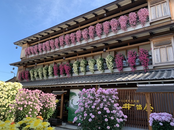 「かさま歴史交流館井筒屋」の菊装飾(画像提供:笠間市)