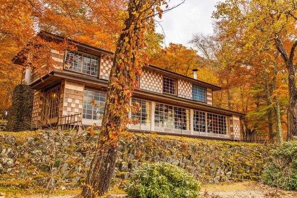 絵画のように美しい紅葉のグラデーション(画像提供:ゆうた1127 / PIXTA)