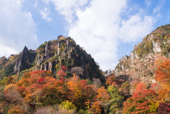 若葉の新緑から色鮮やかな紅葉まで、一年中鮮やかな渓谷です
