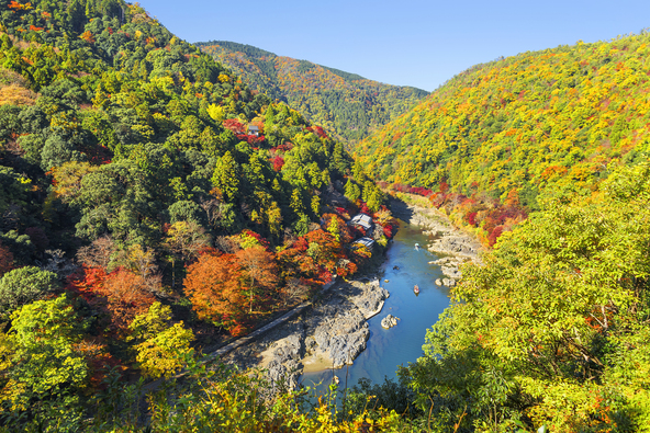 嵐山公園展望台から望む秋の嵐山(画像提供:Merlin / PIXTA)