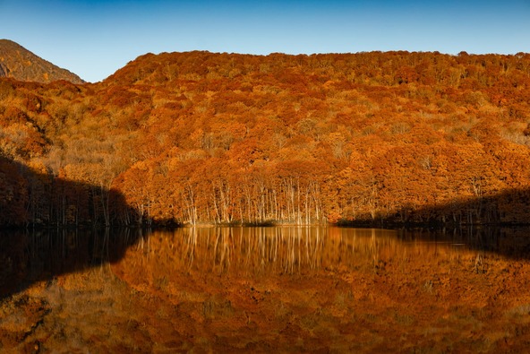 八甲田にある「蔦沼」