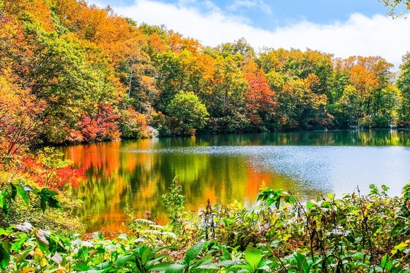 「仙人池」の逆さ紅葉は一見の価値あり(画像:ばりろく / PIXTA)