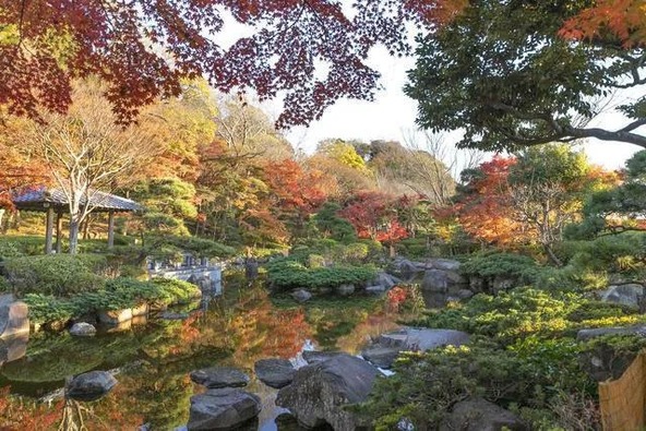 不動池のまわりをモミジが彩ります(画像提供:神奈川県公園協会 大磯城山公園)