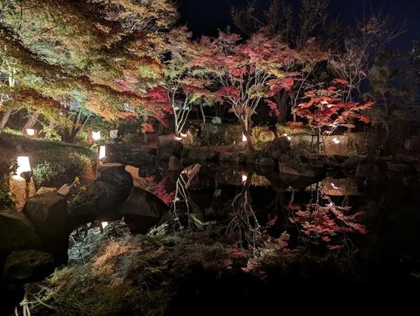 もみじのライトアップの様子(画像提供:神奈川県公園協会 大磯城山公園)