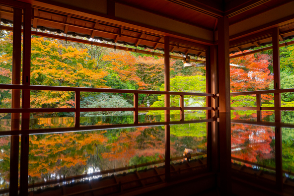 机に紅葉が映り込むリフレクション(nakaphoto / PIXTA)