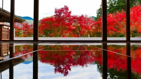 「床もみじ」紅葉リフレクションを特別公開!