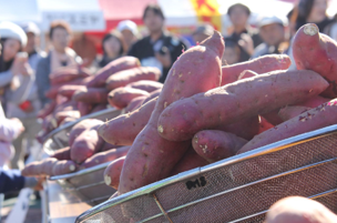 自然の恵みがギュッと詰まった東海村のサツマイモ