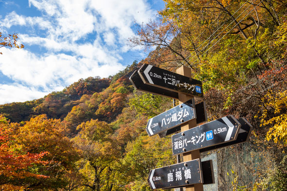 散策道の案内板(画像提供:K,Kara / PIXTA)