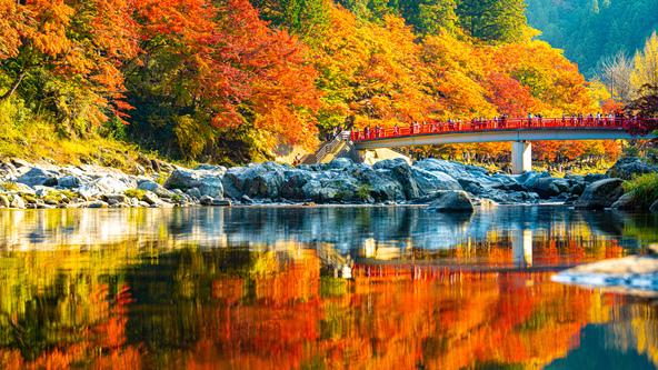 紅葉の名所・愛知県の「香嵐渓」は巴川と飯盛山を中心に広がる渓谷(画像提供:t.mas / PIXTA)
