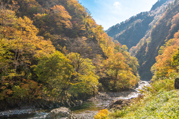 “日本三大峡谷”のひとつ「清津峡」。トンネルの中や付近の歩道から圧巻の渓谷美を堪能できます(画像提供:genki / PIXTA)