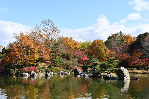 画像提供:HIDE / PIXTA