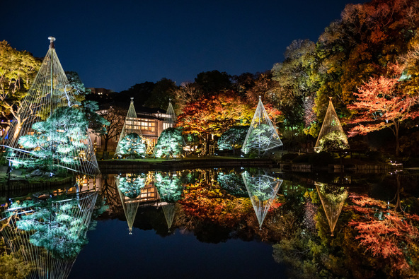 過去のライトアップ時の様子(画像提供:てんしんめん / PIXTA)