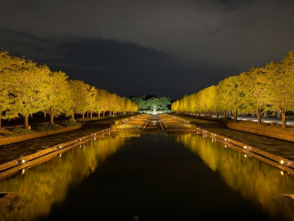 2025年は、例年の「かたらいのイチョウ並木」「日本庭園」に加えて「カナール」でもライトアップを開催