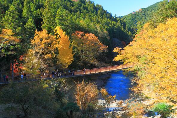 石舟橋(画像提供:あきる野市)