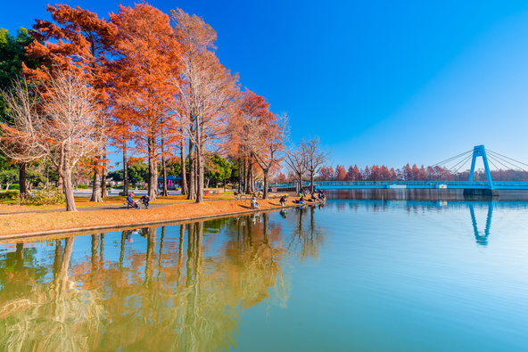 水郷公園ならではの秋の景色(画像提供: momo / PIXTA)
