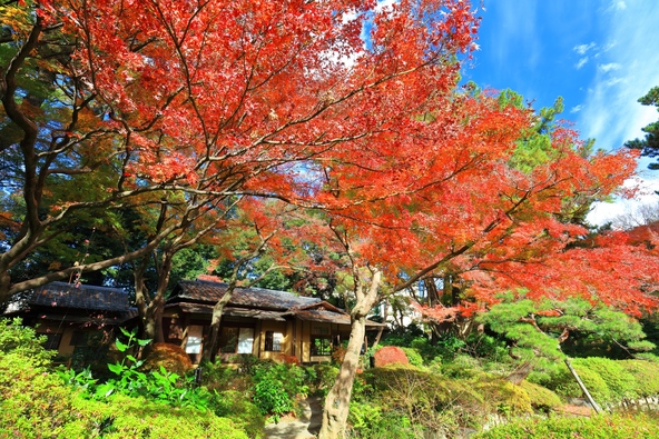 紅葉がピーク時の「東京都庭園美術館」(画像提供:kazukiatuko / PIXTA)