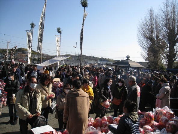 麻生不動院「だるま市」過去開催の様子